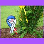 Support Our Troups.jpg